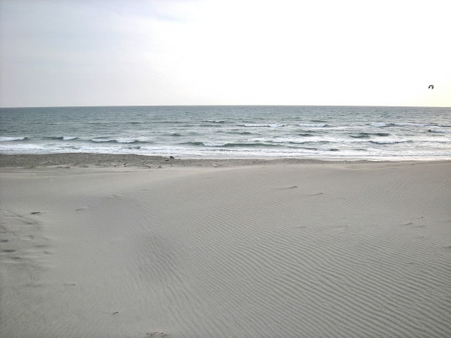 DSCN1384