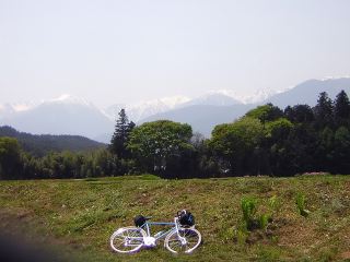 950d6d39.jpg