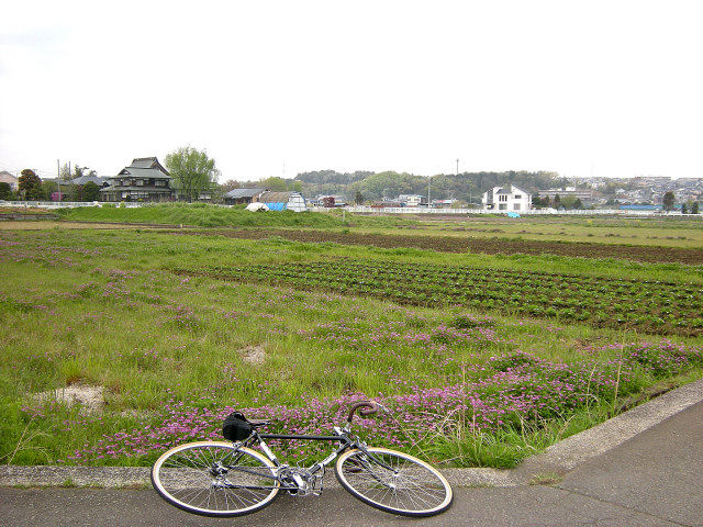 蕎澤4_21_4_002