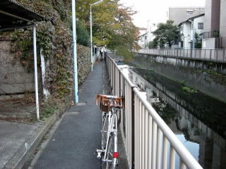 DSCN0793