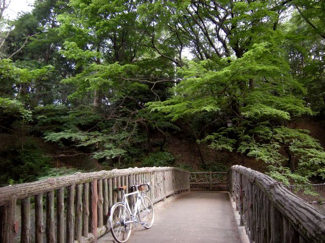 12和田堀21[1]