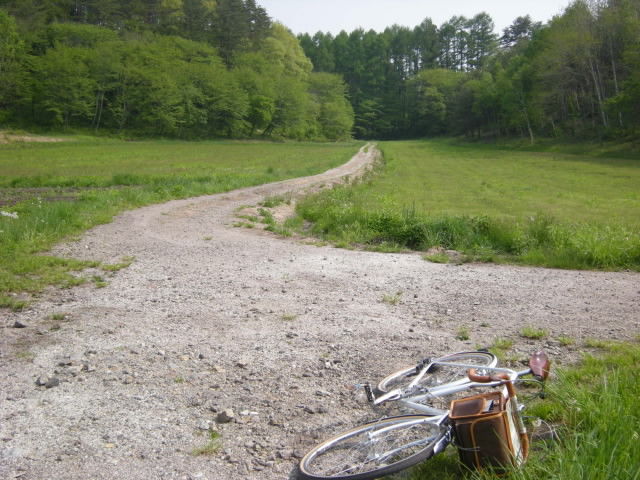 DSCN2225