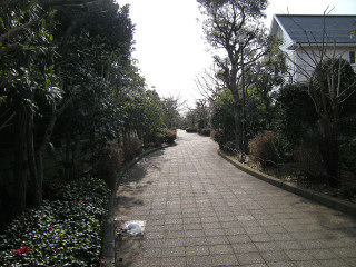 DSCN3567_001