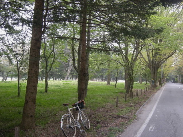 DSCN9995