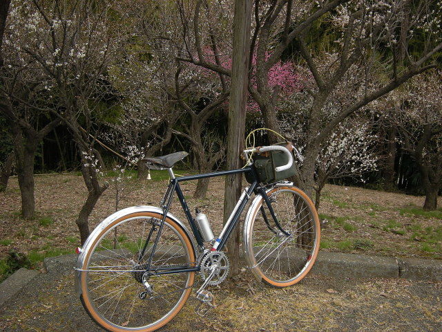 DSCN3844