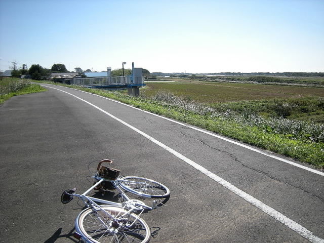 DSCN0561