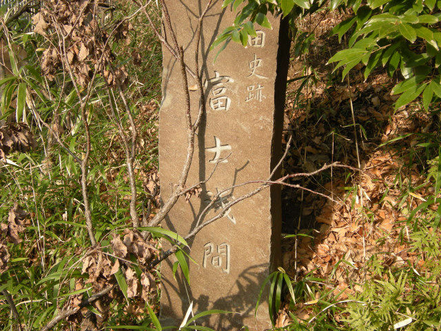DSCN3548