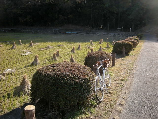 DSCN0955