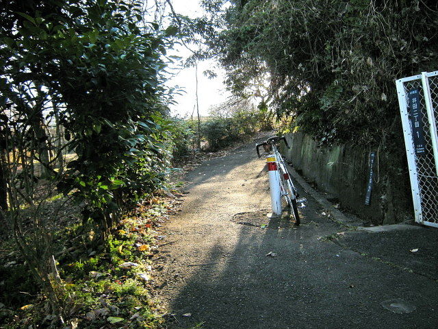 DSCN0756