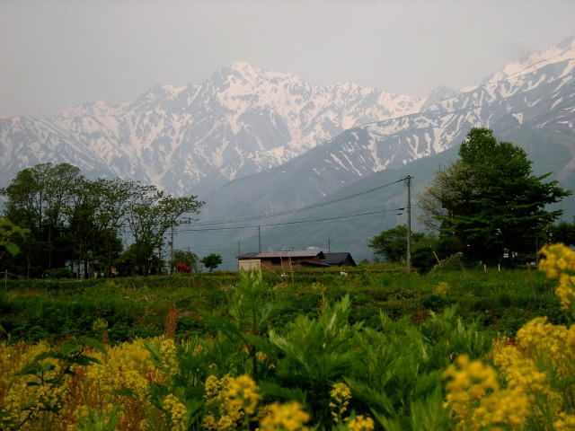 DSCN2183