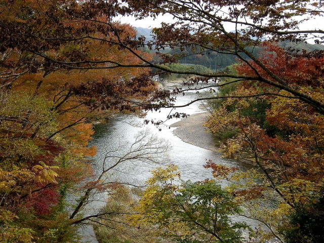 DSCN0640
