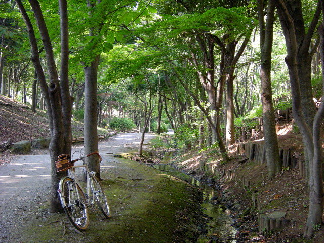 DSCN2511