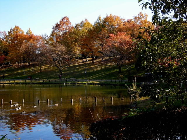 DSCN0822