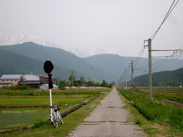 DSCN2184