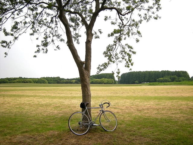 DSCN2045