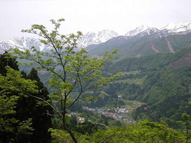 DSCN2106