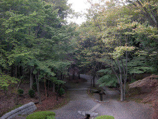 DSCN3016