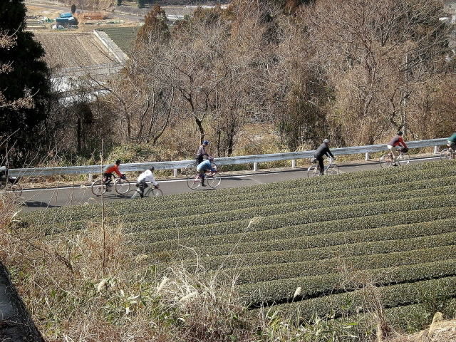 DSCN1358