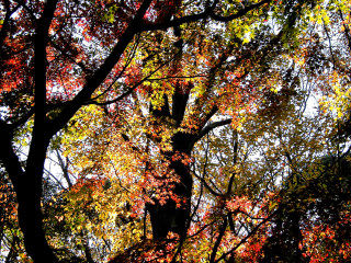 _38DSCN0972