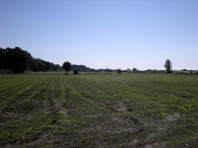 DSCN0564