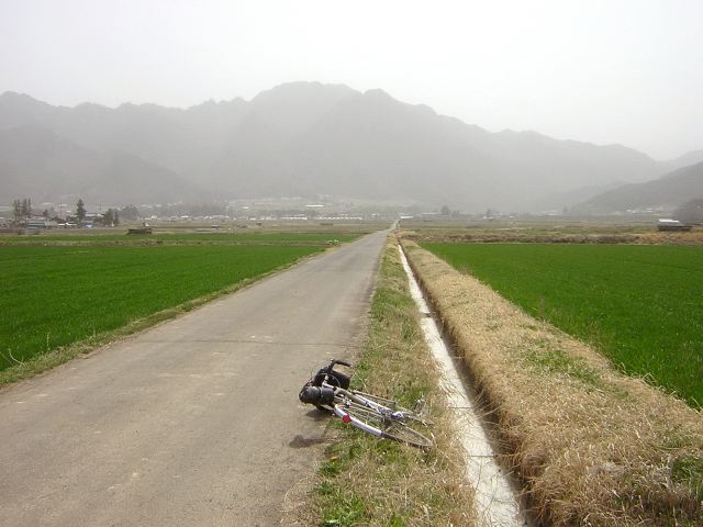c2830879.jpg