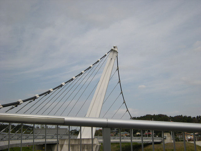 DSCN3046