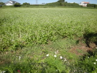 DSCN0317