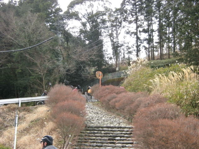 DSCN0351