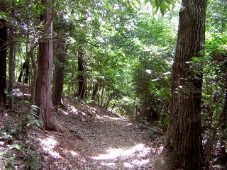 cc727324.jpg