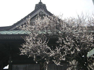 DSCN3845