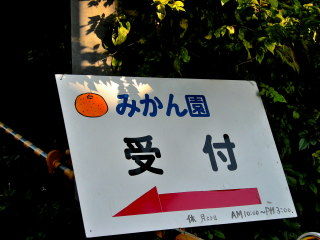 DSCN0233