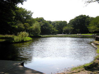 DSCN2494