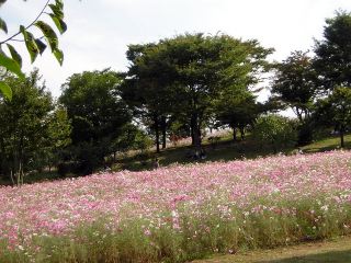 d789824c.jpg