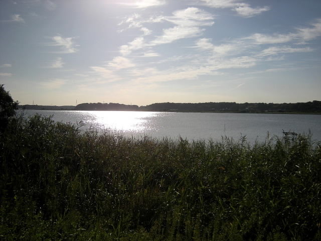 DSCN0345