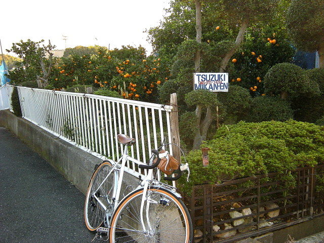 DSCN0232