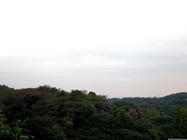 DSCN3160_001