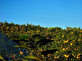 DSCN0231