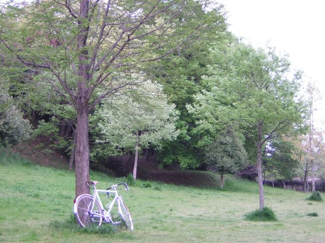 e0185fe1.jpg