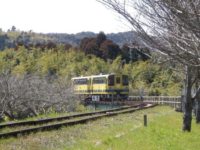 DSCN1663