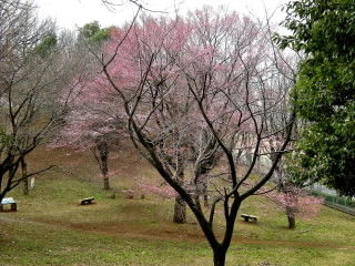 DSCN1780