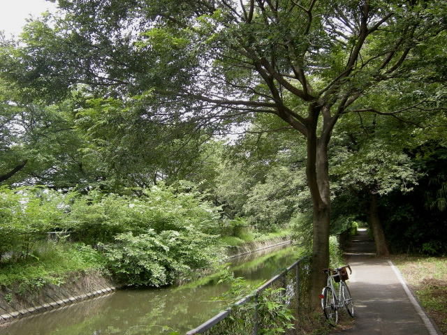 DSCN0066