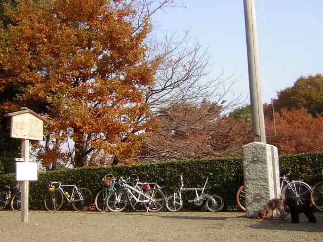 eb2fb590.jpg