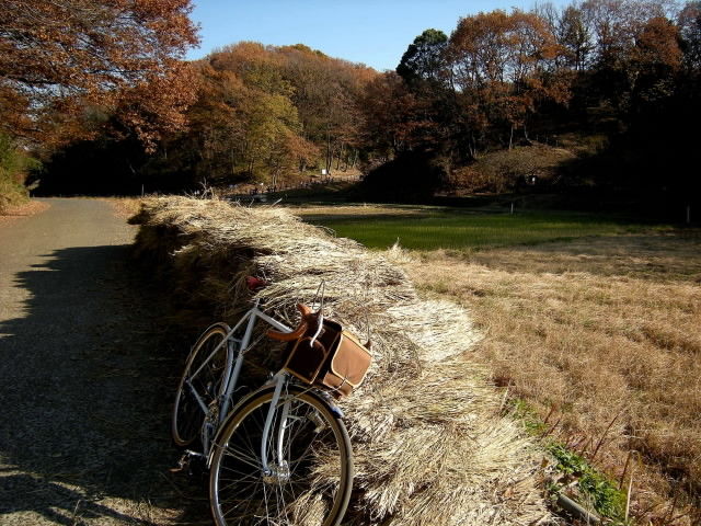 DSCN0964