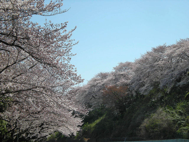 大森しのはら_2_01
