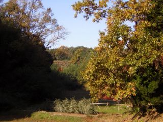 f3746670.jpg