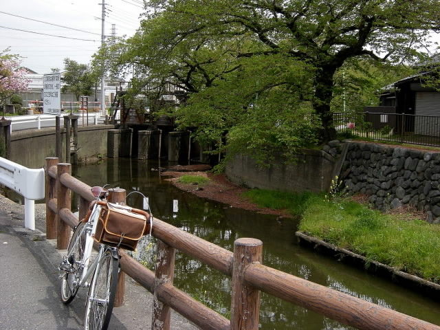 DSCN1948
