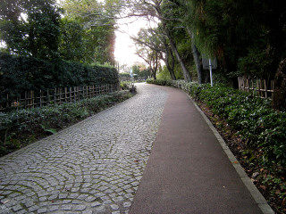 DSCN3157