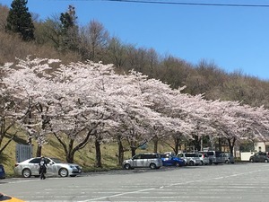 IMG_1762