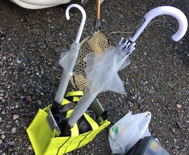 IMG_2493
