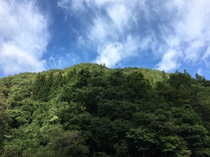IMG_2503